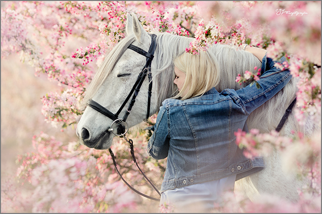 Portrait mit Pferd in der Apfelblüte