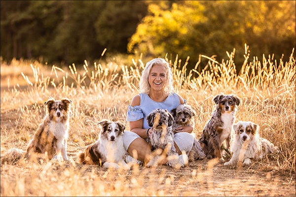 Mona und ihre sechs Mini Australian Shepherd Hunde Mick, Mo, Maggie, Minnie, Mango und Flash haben mich aus Hessen für unser Sonnenaufgangsshooting besucht